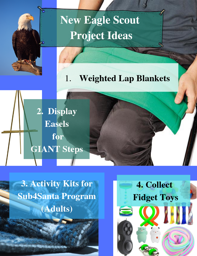 Flyer-Eagle Scout Project ideas