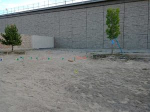 Gravel landscape