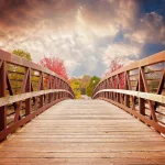 bridge, nature, fall-1385938.jpg